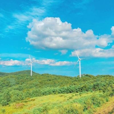 赛诺医疗连续五个季度实现盈利 但仍需补亏年报暂不分红